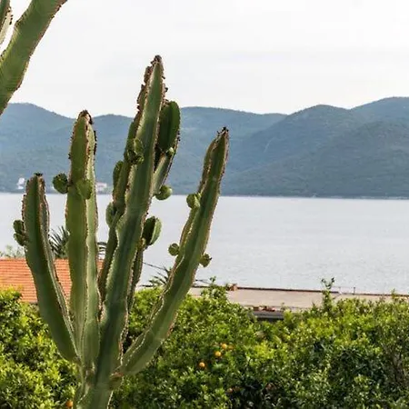 Klara-gorjana-comfort With Balcony And Sea View 2 *